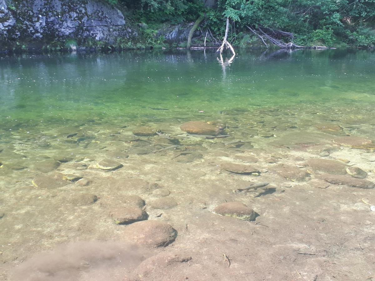 Appartamento La Meridiana A Traffiume Cannobio Esterno foto